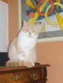 Vorschaubild 6
