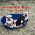 Vorschaubild 2