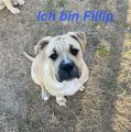 Vorschaubild 4