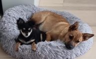 Vorschaubild 3