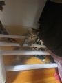 Vorschaubild 5