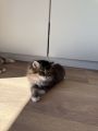 Vorschaubild 4