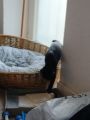 Vorschaubild 3