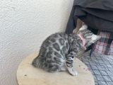 Vorschaubild 5