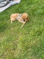Vorschaubild 7
