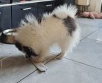 Vorschaubild 6