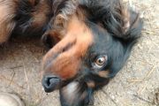Vorschaubild 1