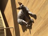 Vorschaubild 6