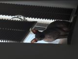 Vorschaubild 7