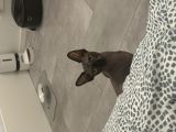Vorschaubild 8