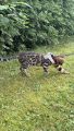 Vorschaubild 4