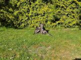 Vorschaubild 2