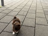 Vorschaubild 4