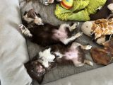 Vorschaubild 5