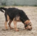 Vorschaubild 6