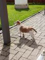 Vorschaubild 6