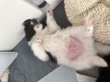 Vorschaubild 10