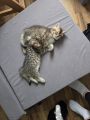 Vorschaubild 3