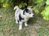 Vorschaubild 2