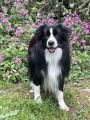 Vorschaubild 7