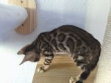 Vorschaubild 5