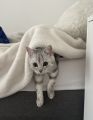 Vorschaubild 6