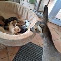 Vorschaubild 5