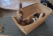 Vorschaubild 1