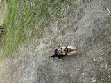 Vorschaubild 3
