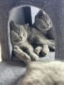 Vorschaubild 6
