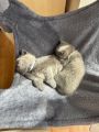 Vorschaubild 3