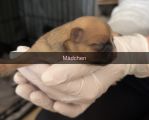 Vorschaubild 5