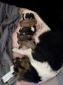 Vorschaubild 6