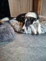Vorschaubild 8
