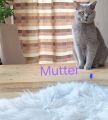 Vorschaubild 6
