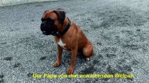 Vorschaubild 6