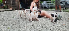 Vorschaubild 2