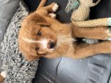 Vorschaubild 8