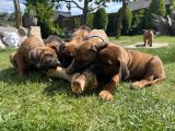 Vorschaubild 9