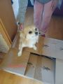 Vorschaubild 7