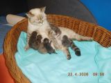 Vorschaubild 5