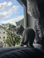 Vorschaubild 9