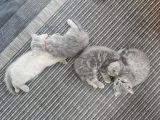 Vorschaubild 6