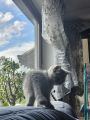 Vorschaubild 10