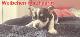 Vorschaubild 6