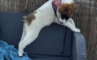 Vorschaubild 2