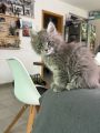Vorschaubild 3