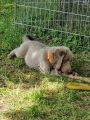 Vorschaubild 8