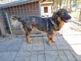 Vorschaubild 5