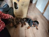Vorschaubild 6